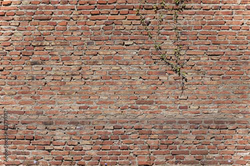 Muro antiguo de ladrillos 