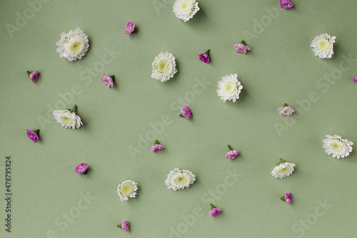 Daisy pattern. Flat lay spring and summer chamomile flowers on a green background.