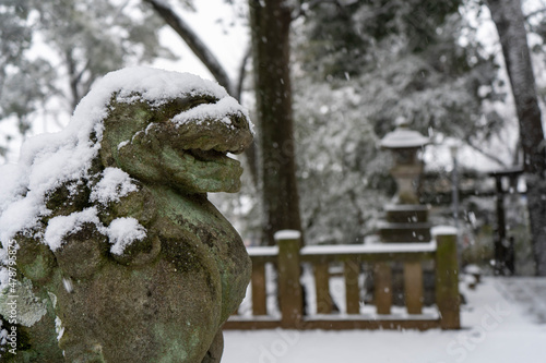 東京都杉並区和泉）雪の中の和泉熊野神社の狛犬