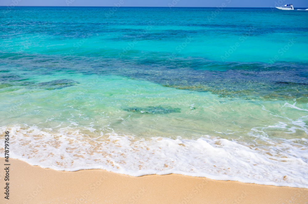 magical paradise beach of the Caribbean sea magical paradise beach of the Caribbean sea