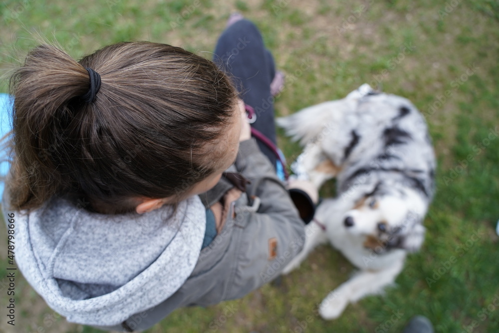 Australian Shepherd sheepdog in front of female owners feet doing trick obedience training on the beach Australian Shepherd sheepdog in front of female owners feet doing trick obedience training on the beach