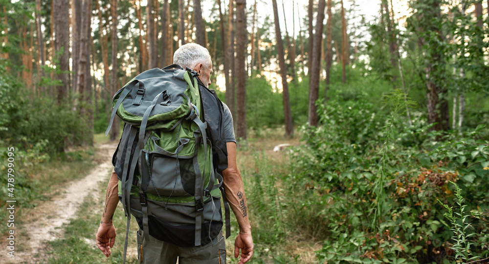 Rear view of mature caucasian man trekking in forest Rear view of mature caucasian man trekking in forest