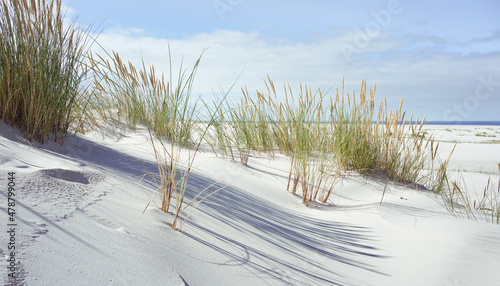 Fototapeta Naklejka Na Ścianę i Meble -  Breiter und einsamer Strand an der Nordsee	