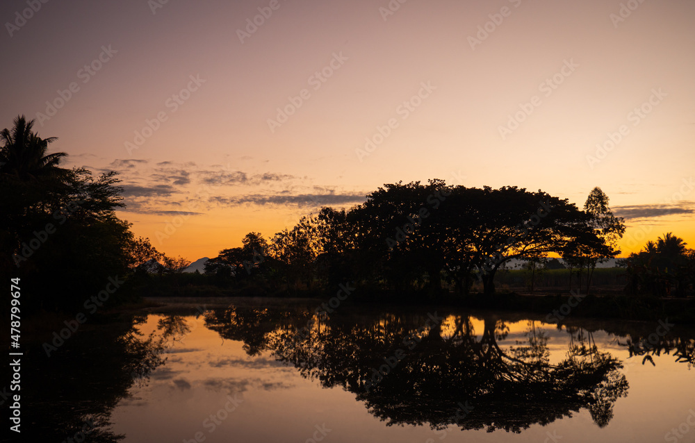 Silhouette of trees by the water In the morning when the sun is rising. A large tree in the background is a rising sky in the morning sun.