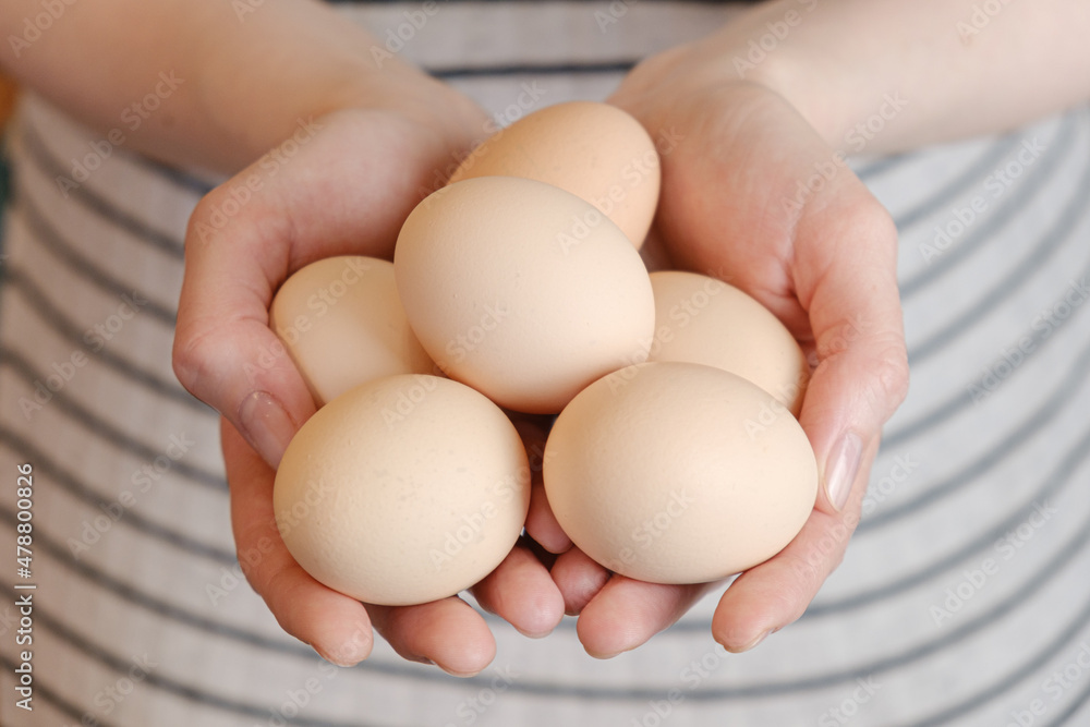 Woman holds large chicken eggs in her palms. Farm chicken eggs produced in our own chicken coop. Diet fresh product. Woman holds large chicken eggs in her palms. Farm chicken eggs produced in our own chicken coop. Diet fresh product.