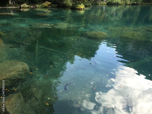 BLAUSEE LAKE IN INTERLAKEN SWITZERLAND