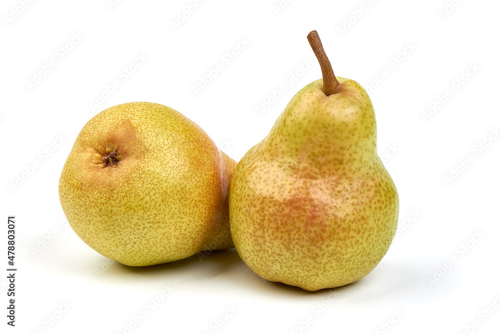 Fresh pears, close-up, isolated on white background. Fresh pears, close-up, isolated on white background.