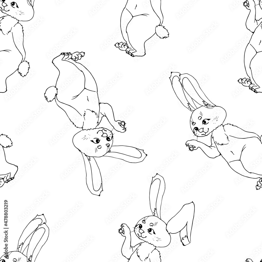 Fototapeta premium Cute rabbit, hare, bunny. Vector linear illustration.