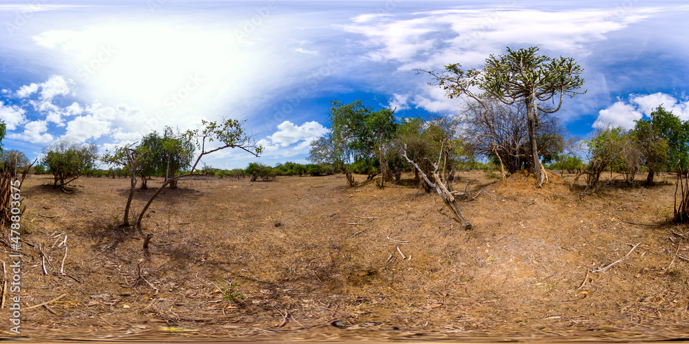 Jungle and savannah in Kumana National Park, Sri Lanka. 360-Degree view.
