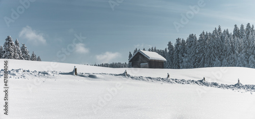 Einsame verschneite Hütte am Waldrand im Winter