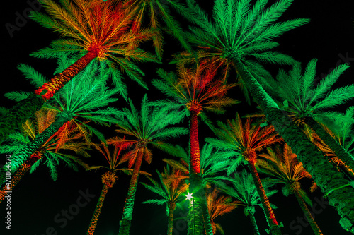 Christmas Holiday Palm Trees