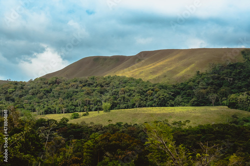 Montaña en la selva