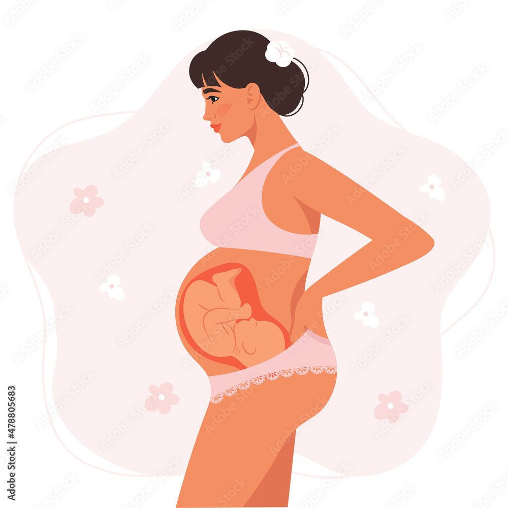 Pregnancy woman, baby in the womb. Preparation for childbirth, healthy Pregnancy. Flat vector illustration Pregnancy woman, baby in the womb. Preparation for childbirth, healthy Pregnancy. Flat vector illustration