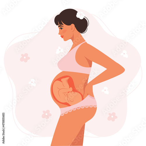 Pregnancy woman, baby in the womb. Preparation for childbirth, healthy Pregnancy. Flat vector illustration