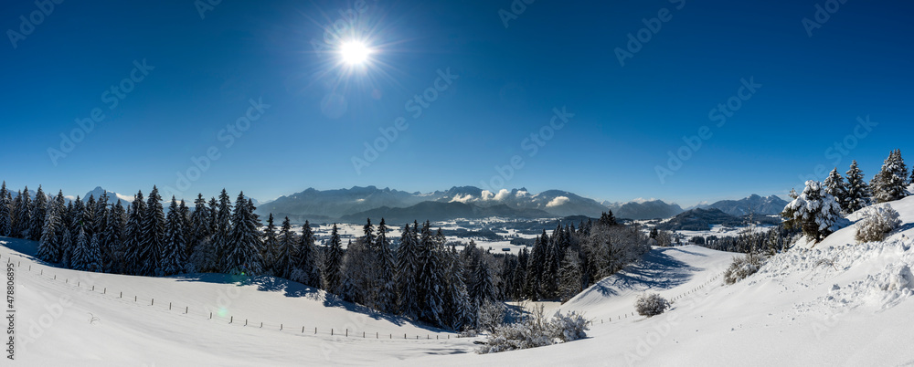panoramic landscape at winter with mountain range