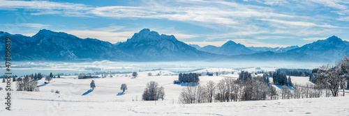 panoramic landscape at winter with mountain range