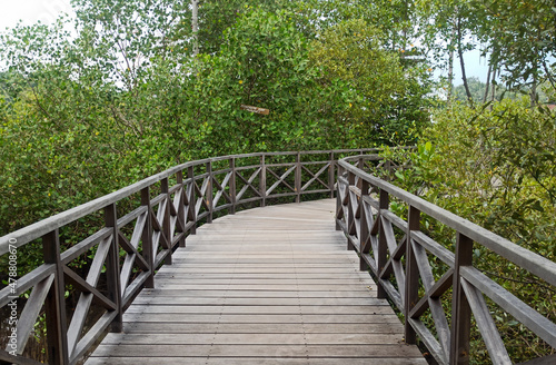 wooden bridge in the forest