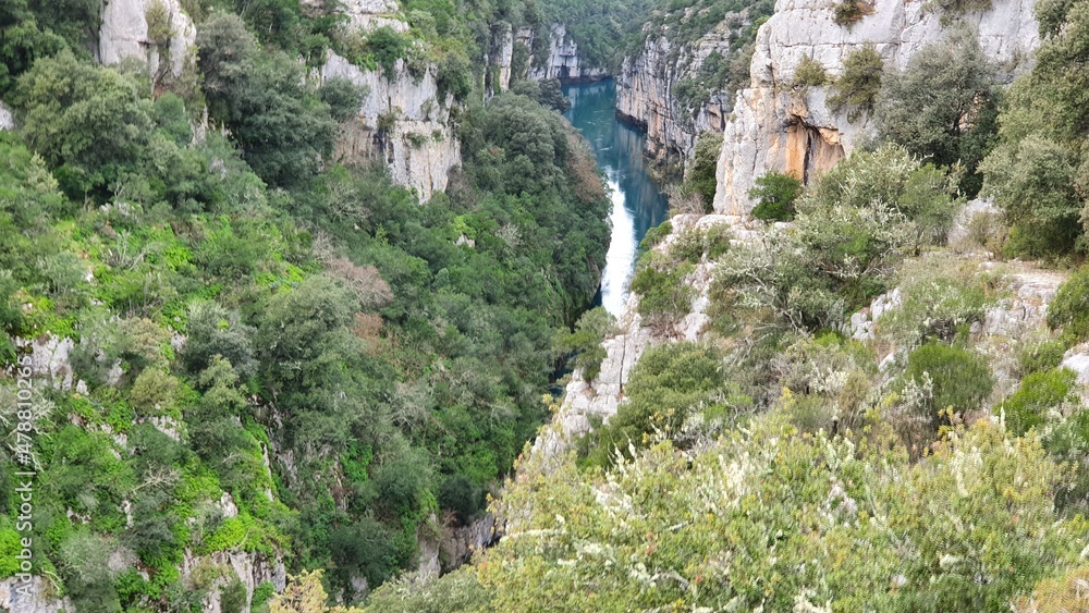 Naklejka premium verdon