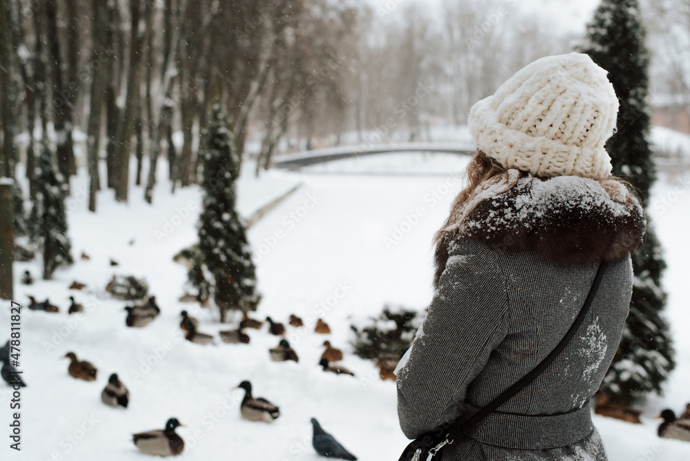 Back view of young woman in snow-covered coat and knitted hat walking in winter park, copy space. Rear view of lady standing in nature in snowfall next to group of ducks Back view of young woman in snow-covered coat and knitted hat walking in winter park, copy space. Rear view of lady standing in nature in snowfall next to group of ducks