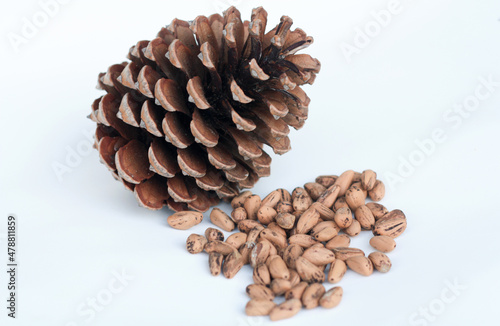 Heap of pine nuts and pine cone isolated on white background.