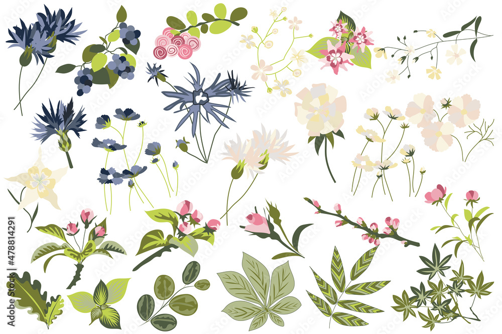 Flower and plants isolated set. Flowering garden and blooming wildflowers different types. Green leaves, beautiful herbs and other. Bundle of floral elements. Illustration in hand drawn design Flower and plants isolated set. Flowering garden and blooming wildflowers different types. Green leaves, beautiful herbs and other. Bundle of floral elements. Illustration in hand drawn design