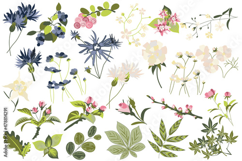 Flower and plants isolated set. Flowering garden and blooming wildflowers different types. Green leaves, beautiful herbs and other. Bundle of floral elements. Illustration in hand drawn design