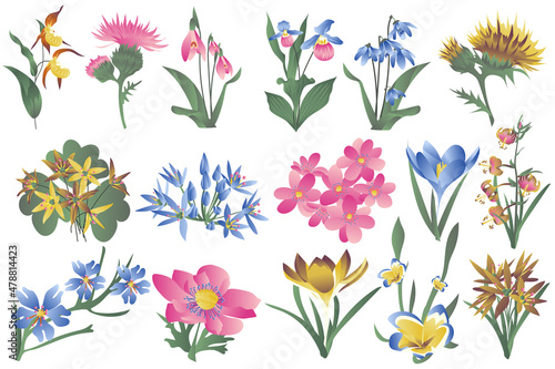 Φωτογραφία Flowering wildflowers and blooming flowers isolated set