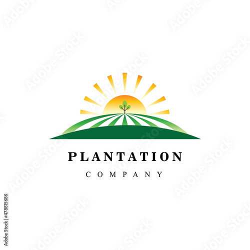 plantation logo illustration sunset nature company design vector