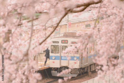 桜と電車の駅