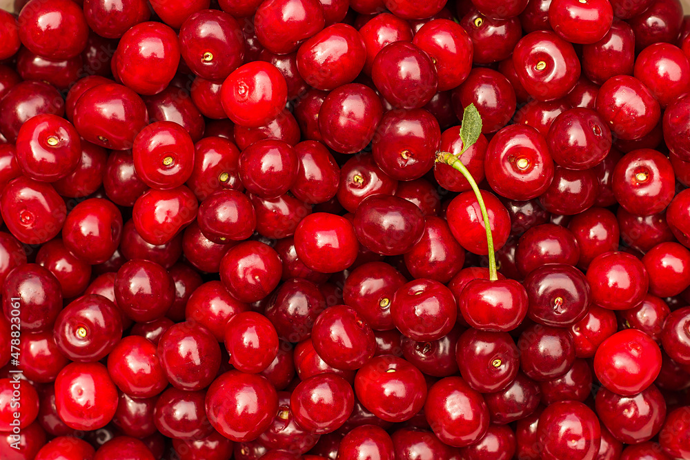 many red sweet cherries, filled frame. Summer concept. fresh fruits and berries. food and healthy eating. many red sweet cherries, filled frame. Summer concept. fresh fruits and berries. food and healthy eating.
