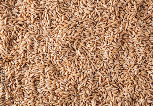 Uncooked spelt grains background