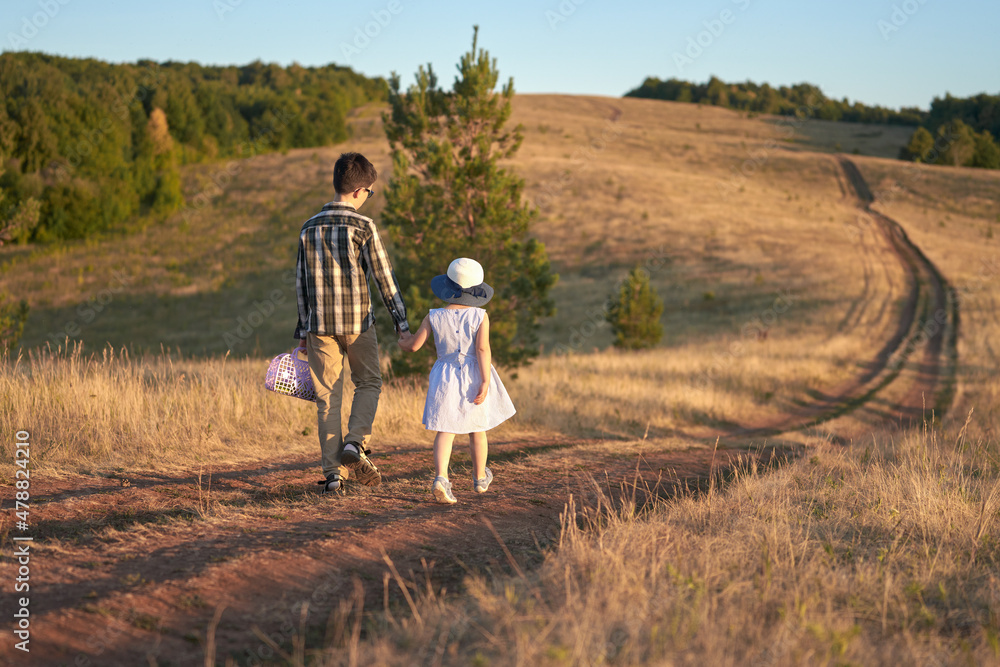 Children walk through a meadow on a country road. The older brother holds his sister's hand. Copy space.