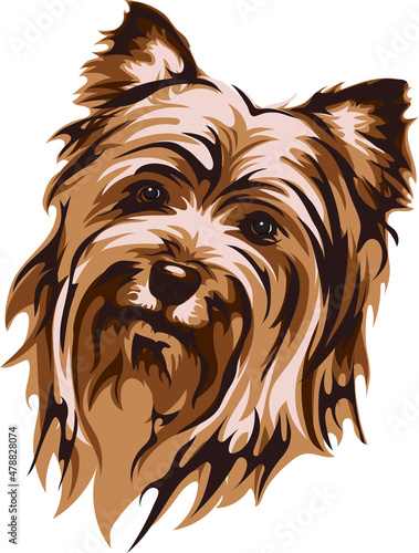 Vector image of a muzzle of a dog, Yorkshire Terrier, vector illustration for use in logos, signs, trademarks, for design and advertising
