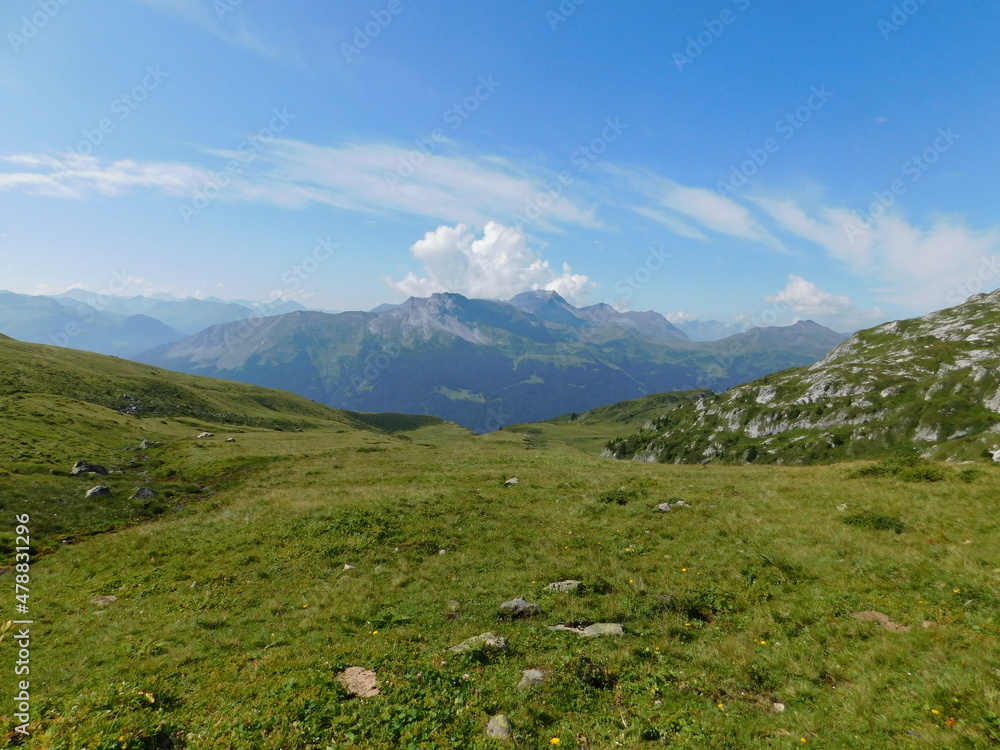 alpine meadow in the mountains alpine meadow in the mountains