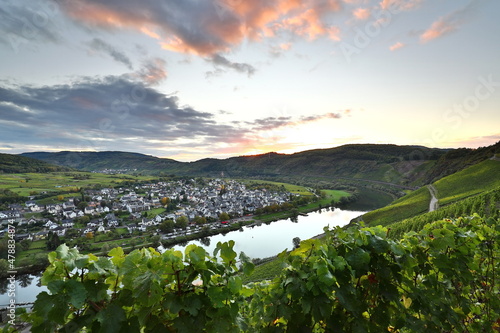 Landschaft der Mosel im Sommer