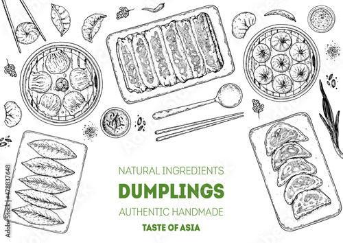 Dumplings top view frame. Food menu design template. Hand drawn vector illustration. Chinese dumplings. Vintage illustration. Hand drawn food sketch. Design template.