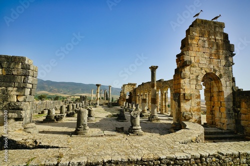 The ruins of the sity of Volubilis, the former center of the Kingdom of Mauritania 
