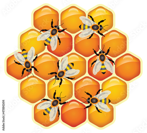 vector working bees on honeycomb cells