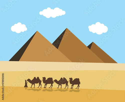 vector camels and bedouin in desert with egyptian pyramides photo