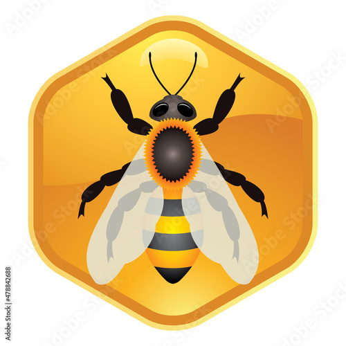 vector symbol of single working bee on honeycell