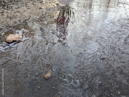 Frozen puddle, ice crystals