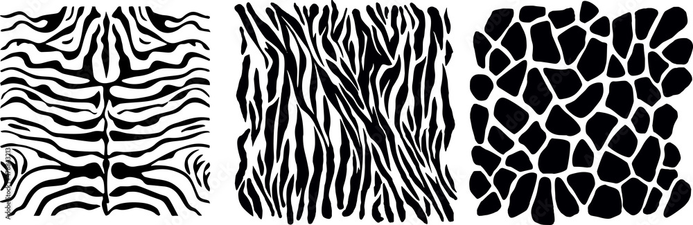 Vector set of animals skin isolated on a white background Vector set of animals skin isolated on a white background