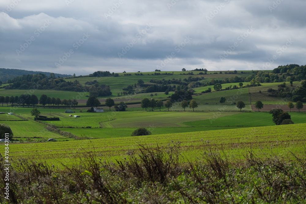 Landscape with fields in a gloomy weather