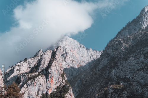 snow covered mountains