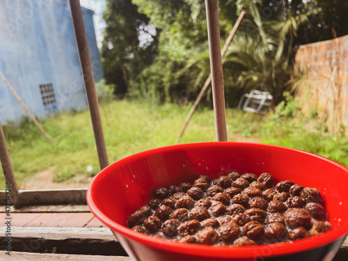 Fototapeta Café da manhã