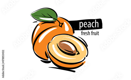 Drawn vector peach on a white background