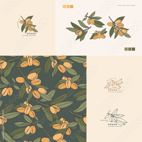 Vector illustration argan branch - vintage engraved style. Logo composition in retro botanical style.