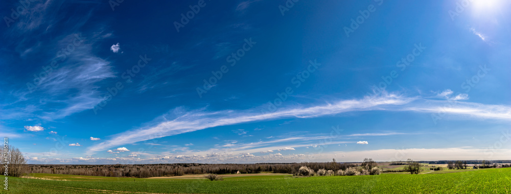 Panorama of field and blue sky