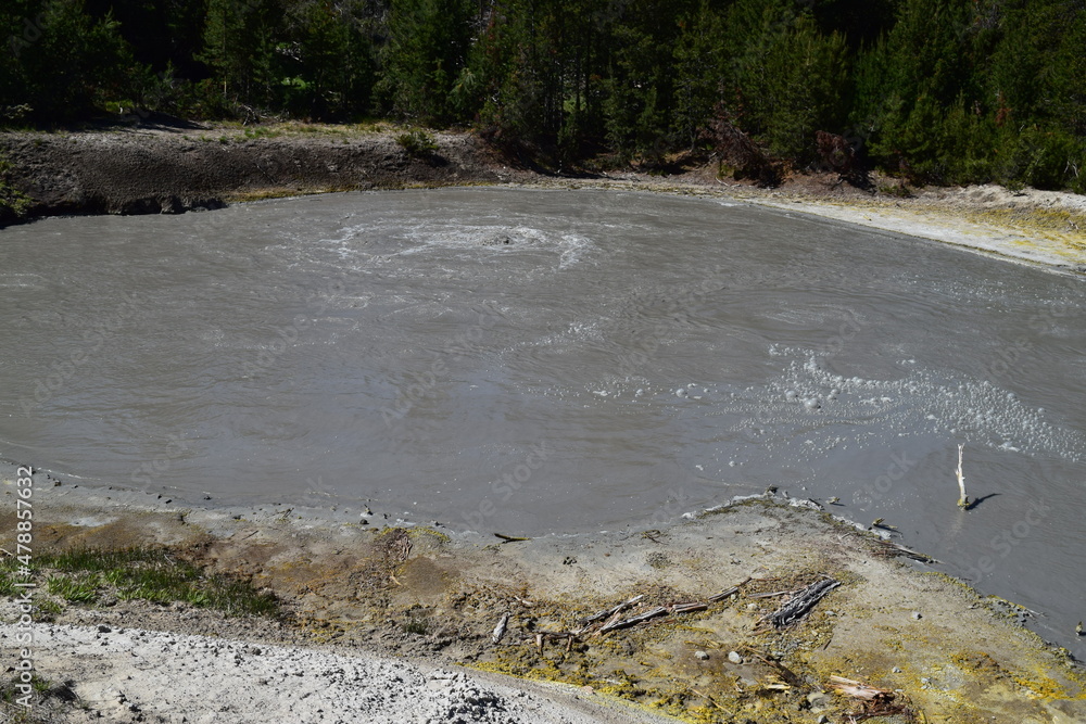 Mud Pit at Yellowstone National Park 