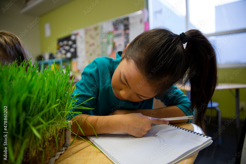Elementary students examining sprouts in laboratory Stock Photo Adobe
